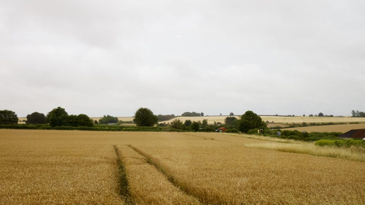 Harbur Home kitchen view of the Lincolnshire countryside