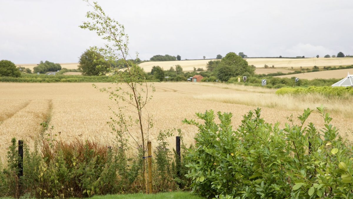 Harbur Home kitchen view of the Lincolnshire countryside